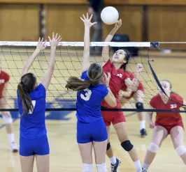 volleyball