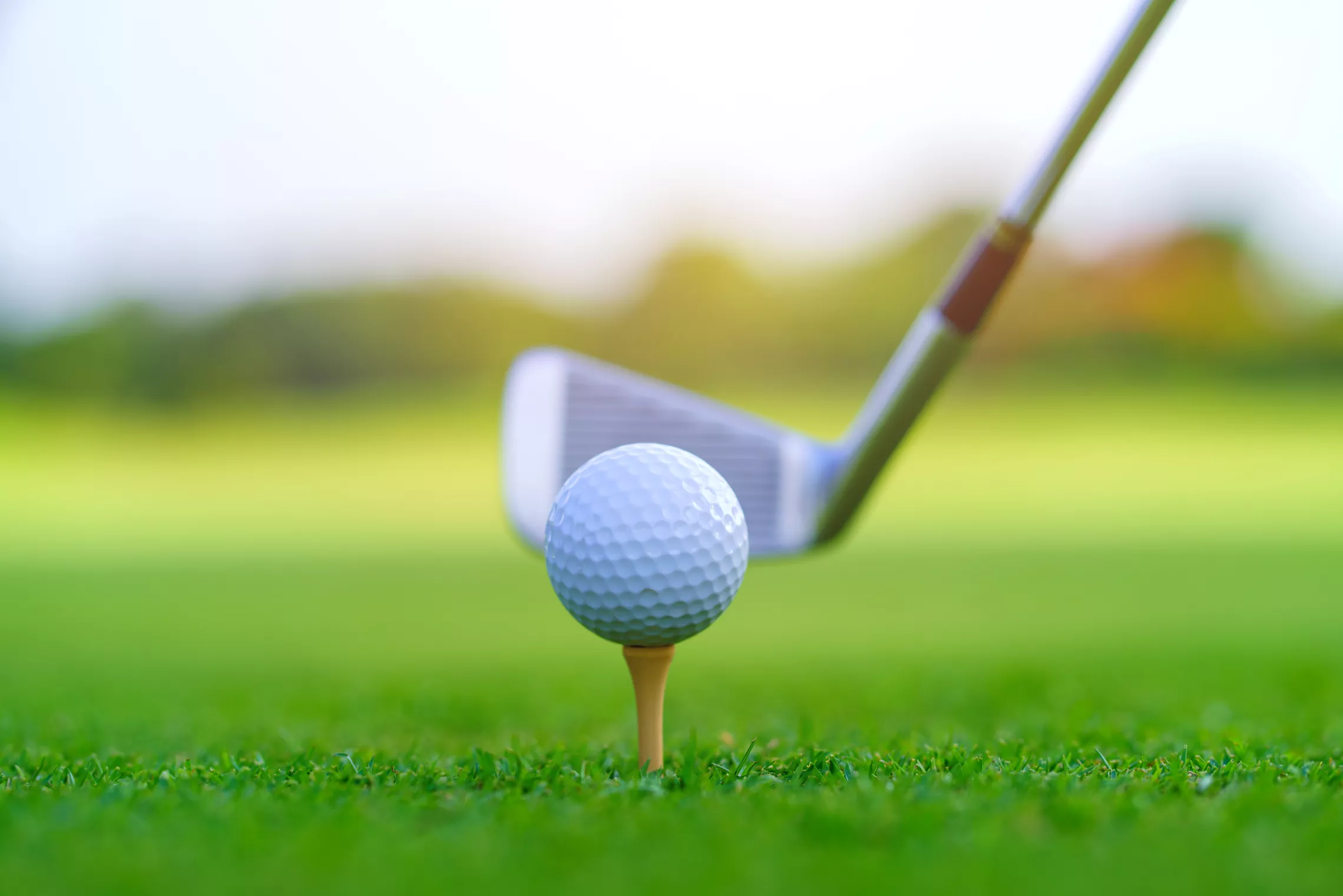 16th Annual Golf Classic, Greater Wichita YMCA