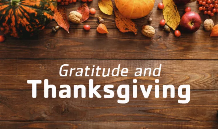 pumpkins, nuts and leaves with the words "Gratitude and Thanksgiving"